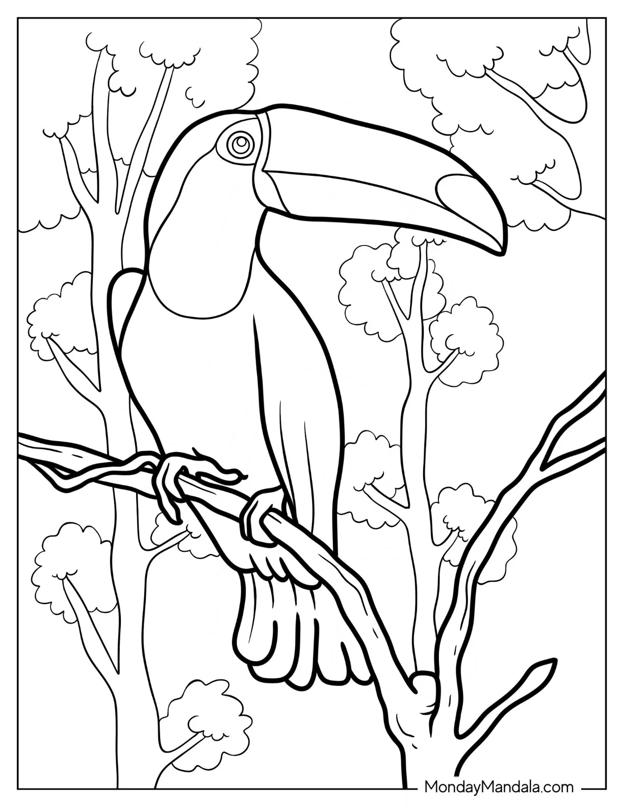Realistic Adult Toucan Coloring Page In The Jungle coloring page