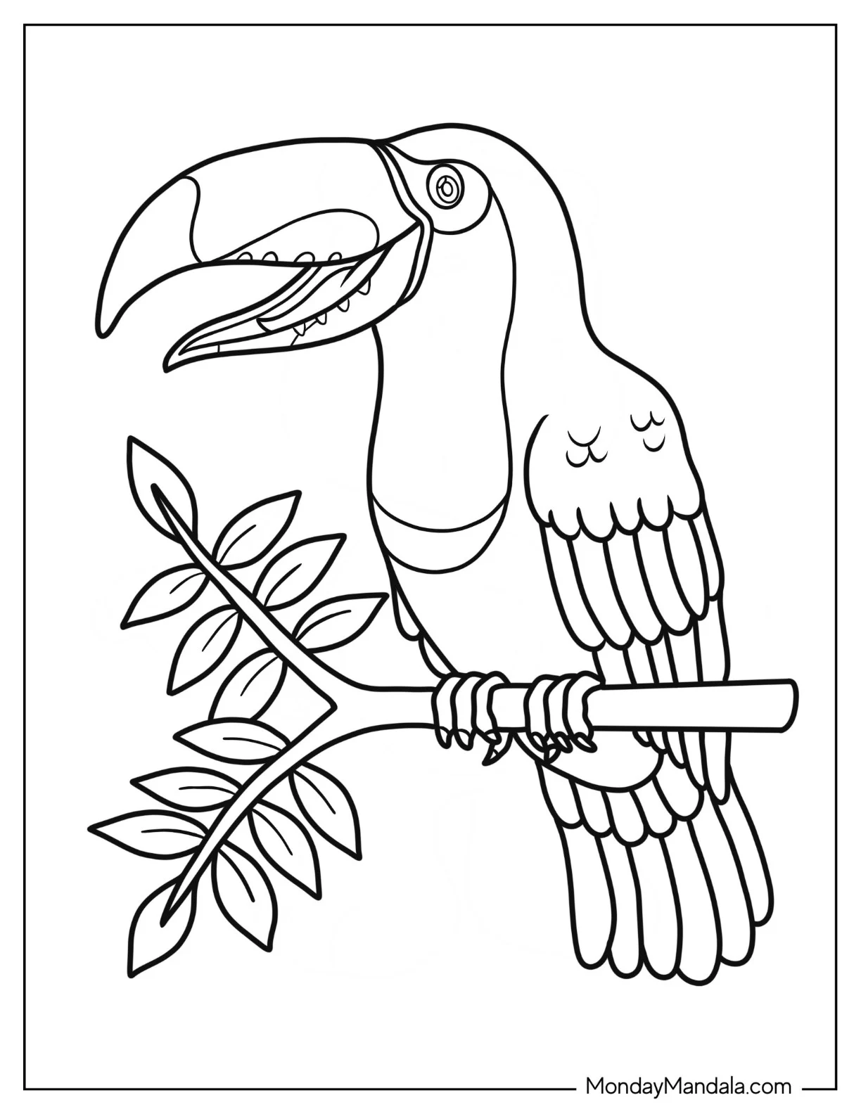 Toucan Coloring Page With Detailed Beak And Wings coloring page