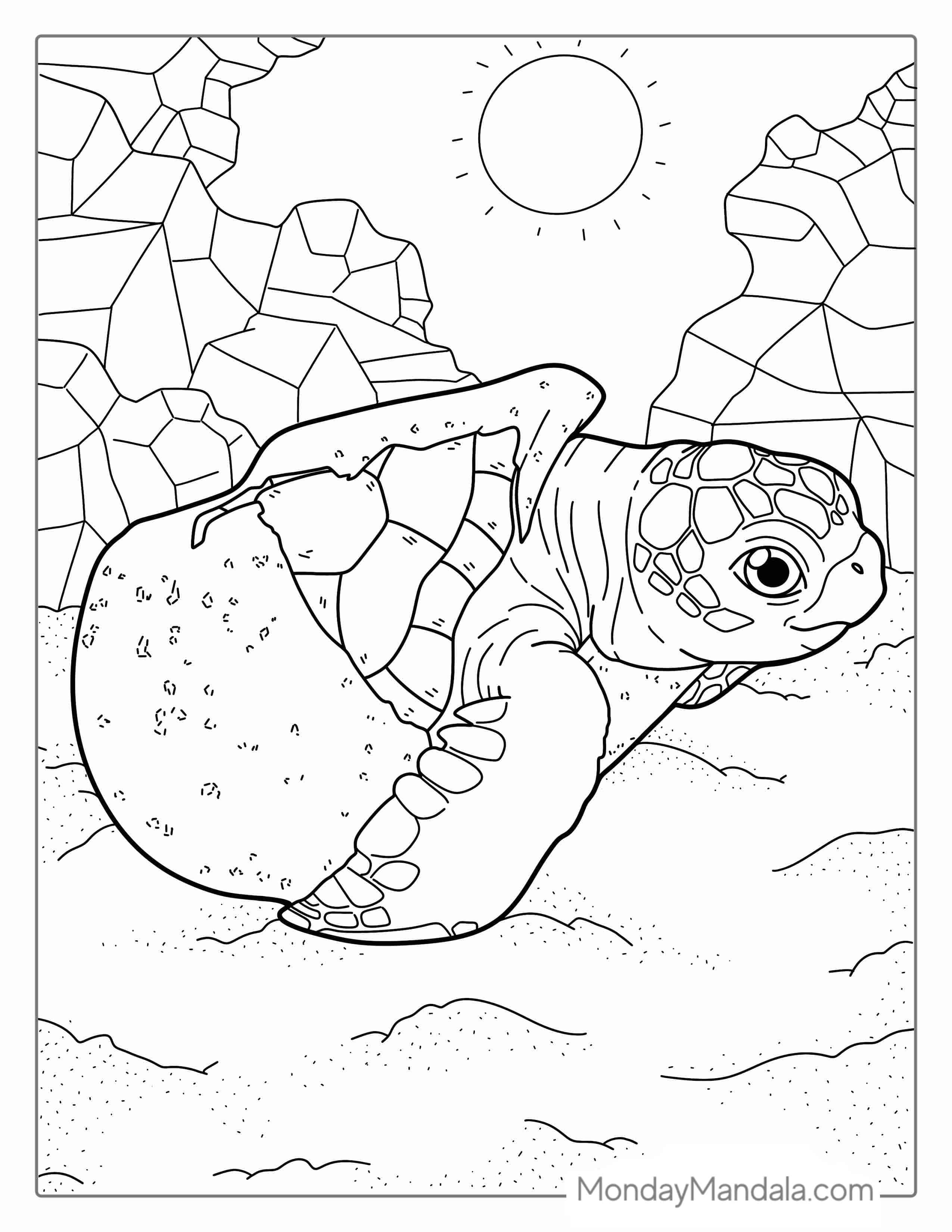 Baby Turtle Hatching From Egg coloring page — printable line art