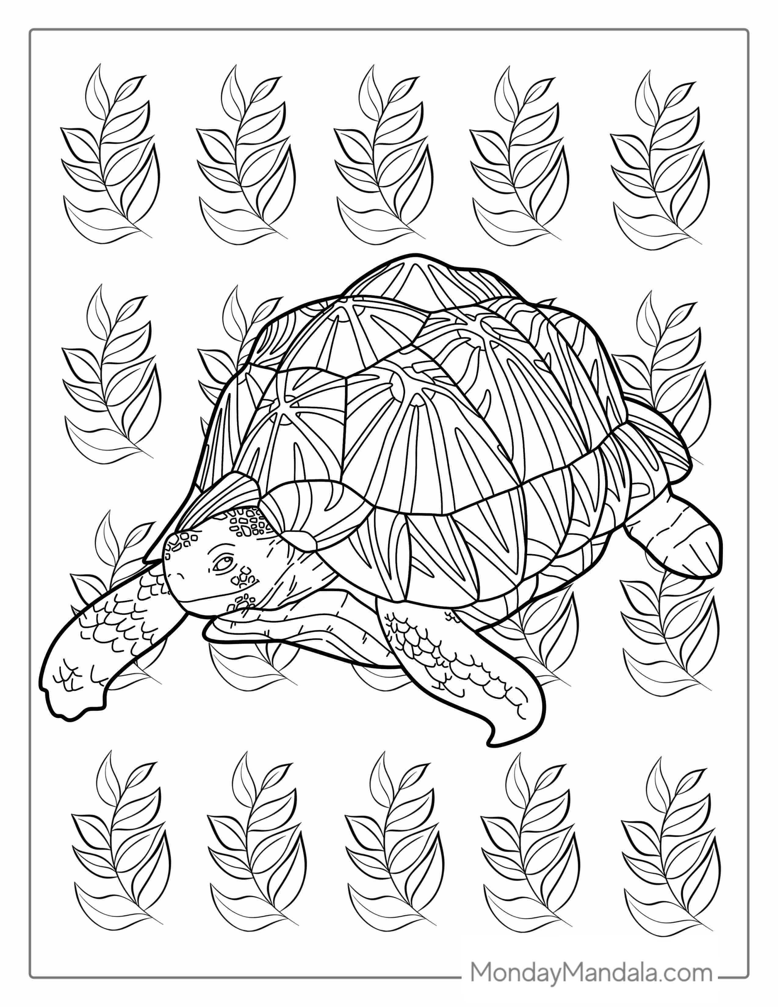 Box Turtle Coloring Page coloring page — printable line art