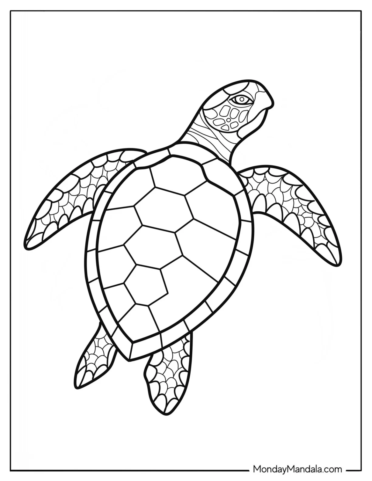Easy Swimming Turtle Coloring Page for Kids coloring page