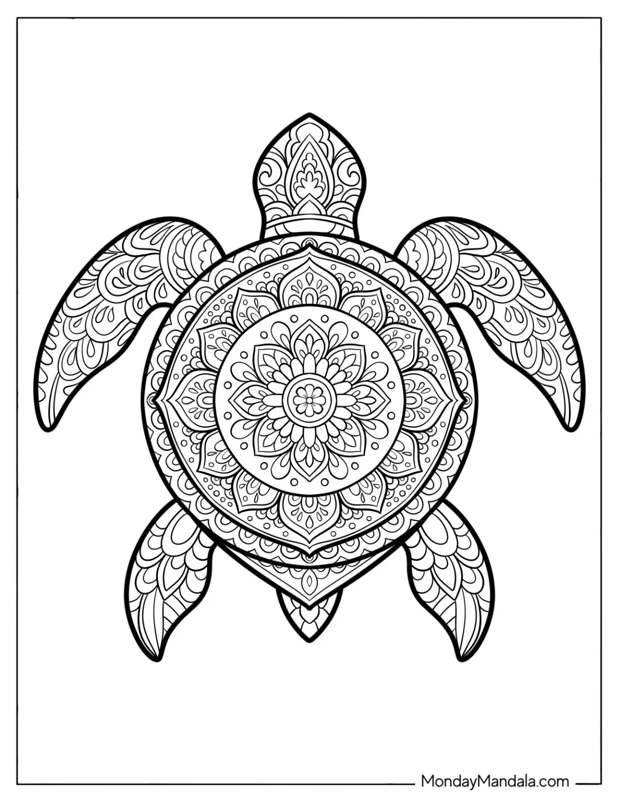 Flowery Turtle Coloring Page Mandala coloring page