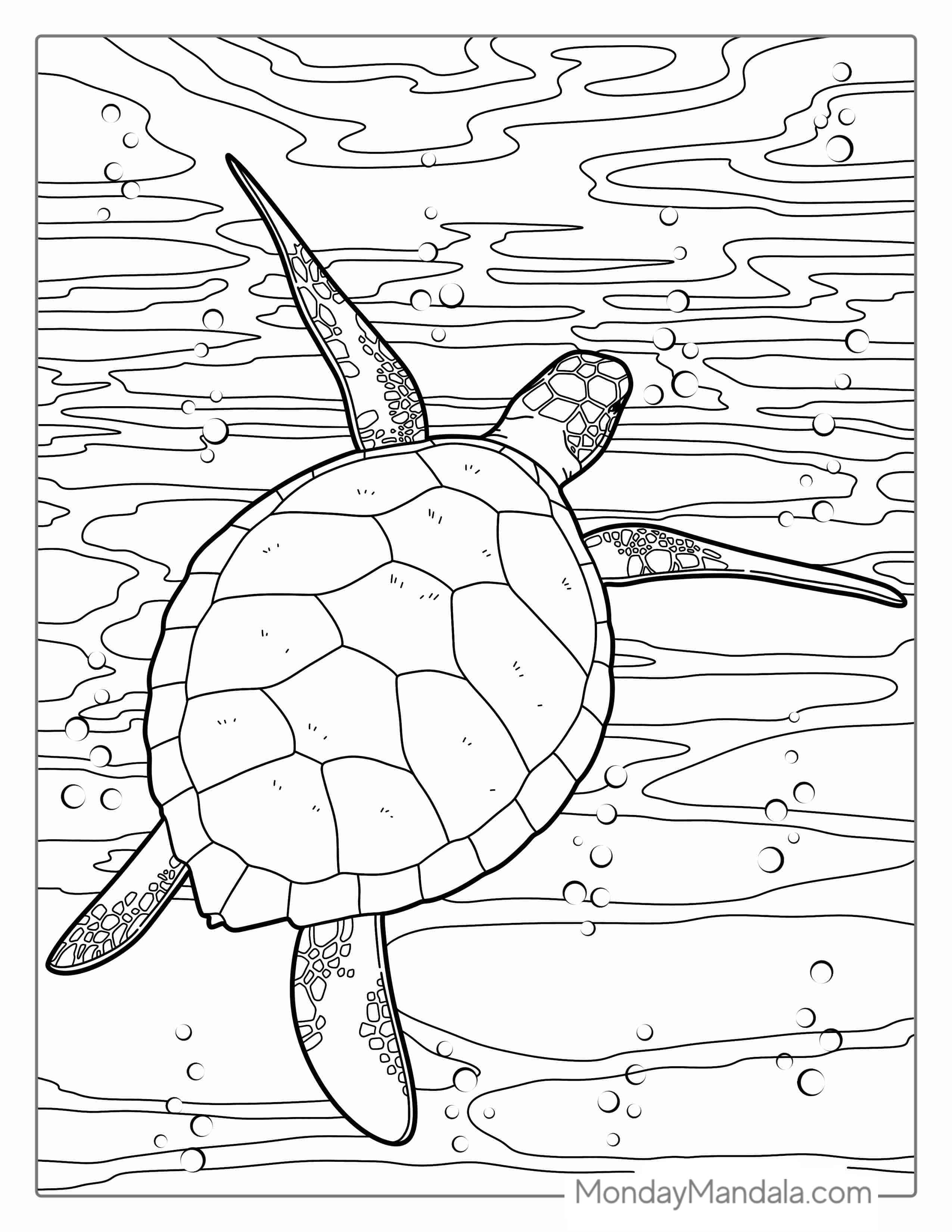 Green Sea Turtle Coloring Page coloring page — printable line art