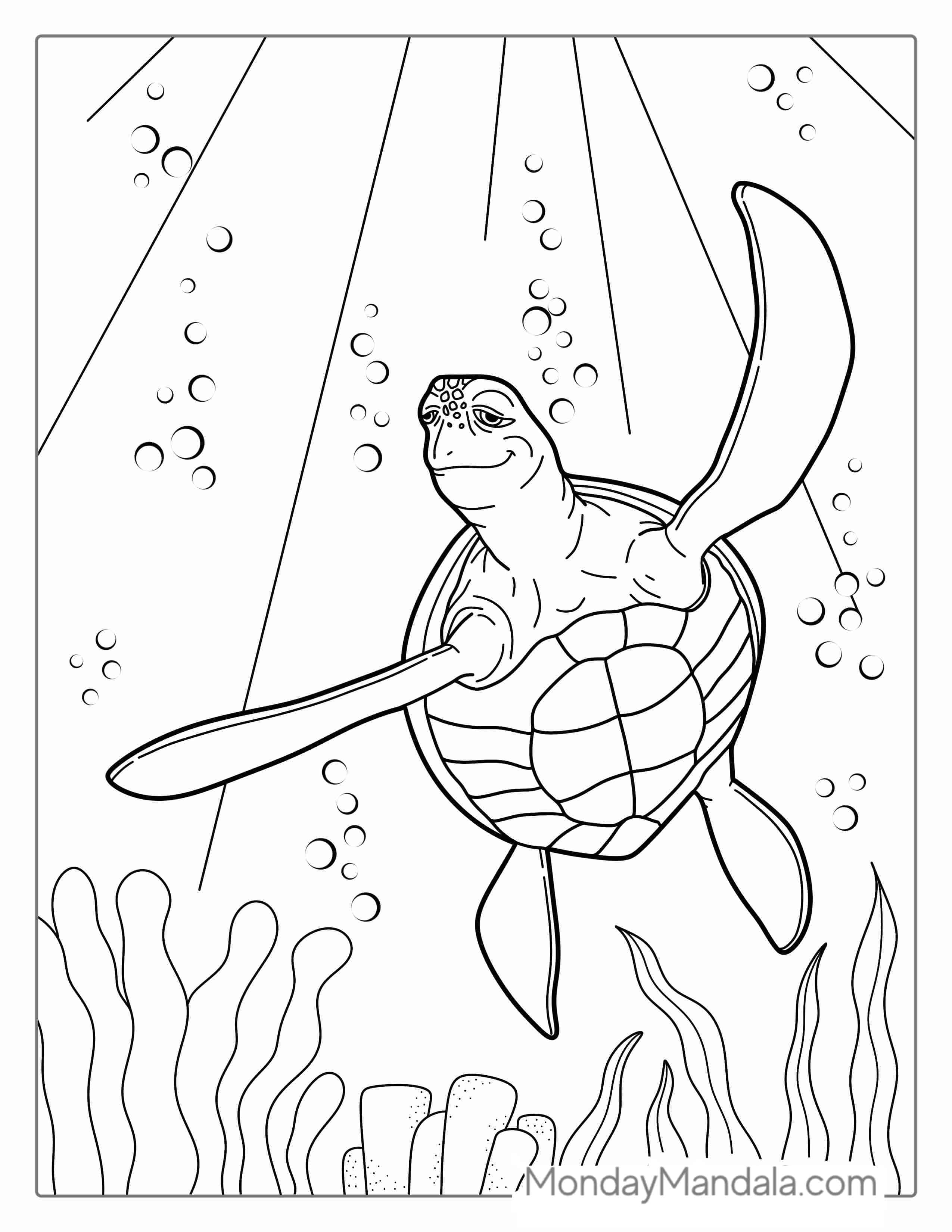 Green Sea Turtle To Color coloring page — printable line art