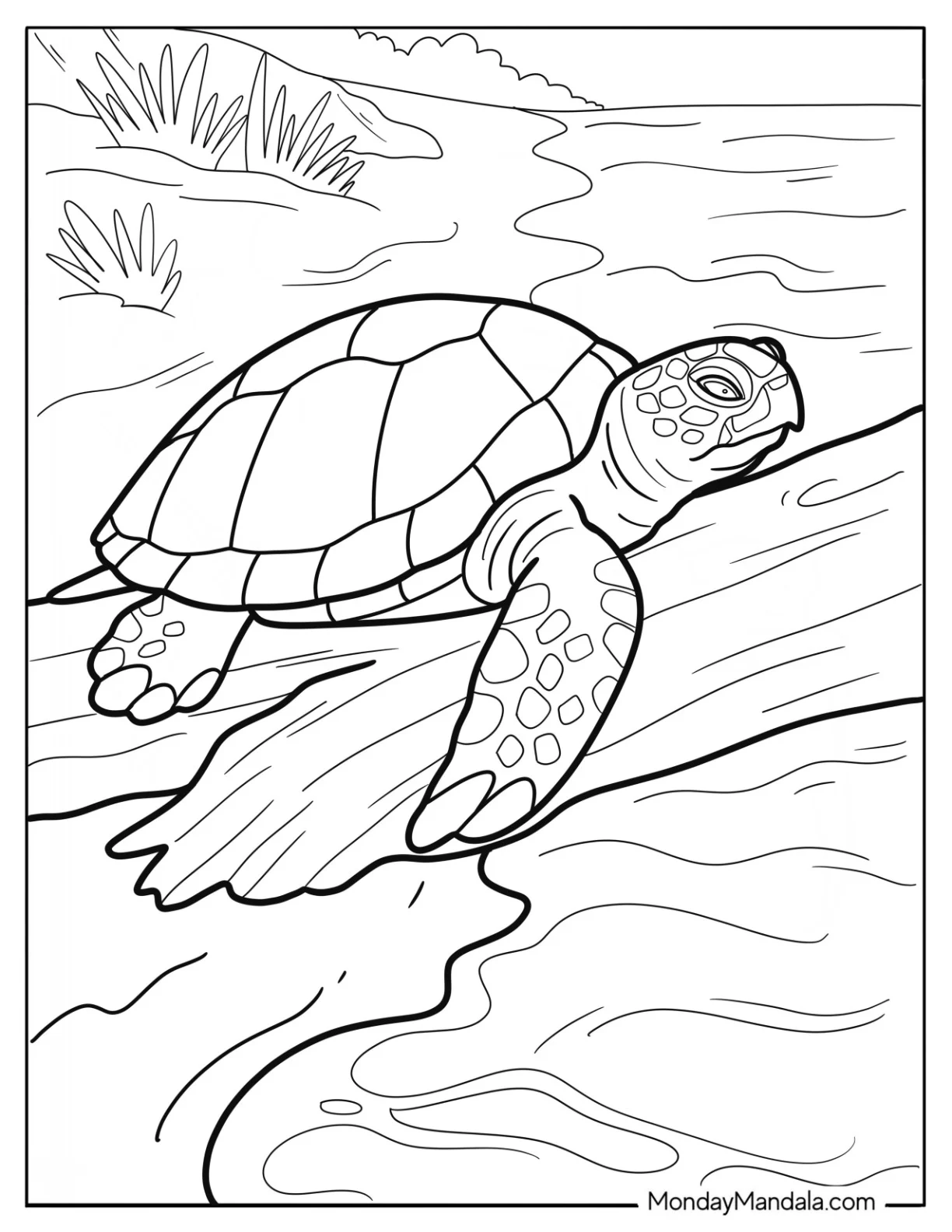 Old Turtle Coloring Page Climbing a Tree Branch Over a River coloring page — printable line art