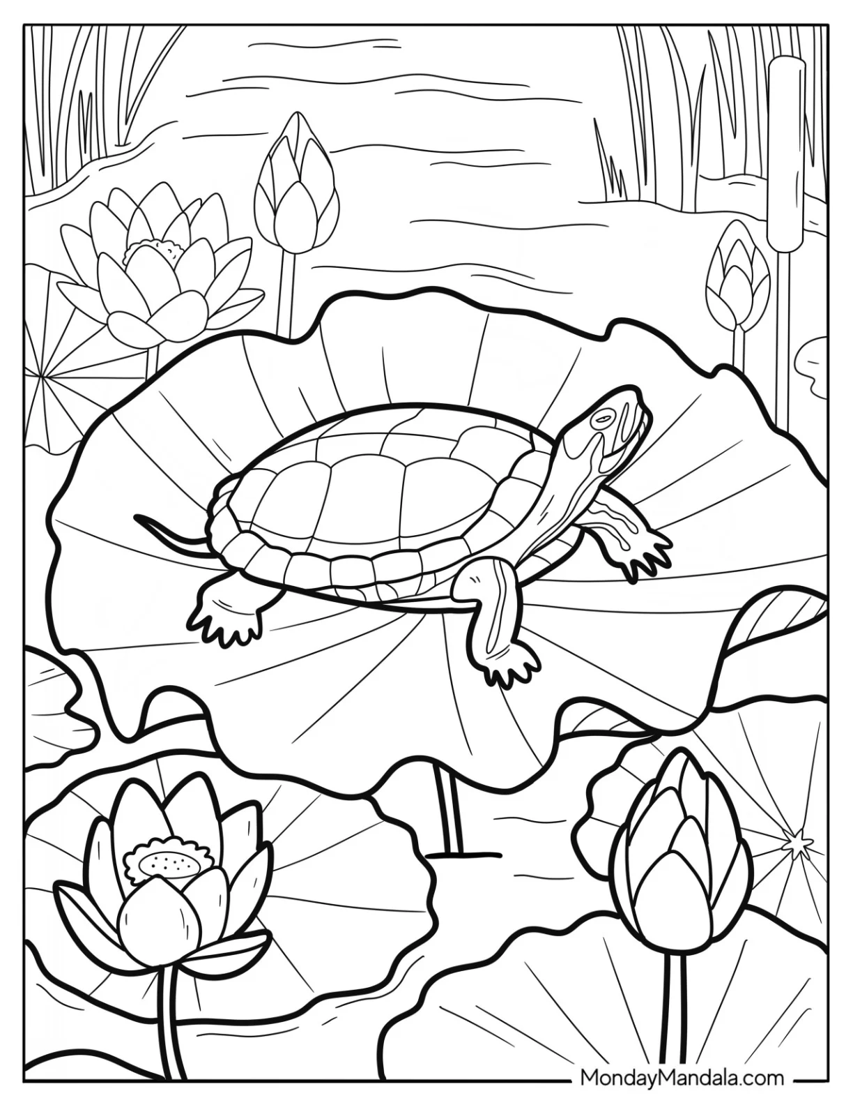 Realistic Turtle Coloring Page Resting on a Lily Pad coloring page