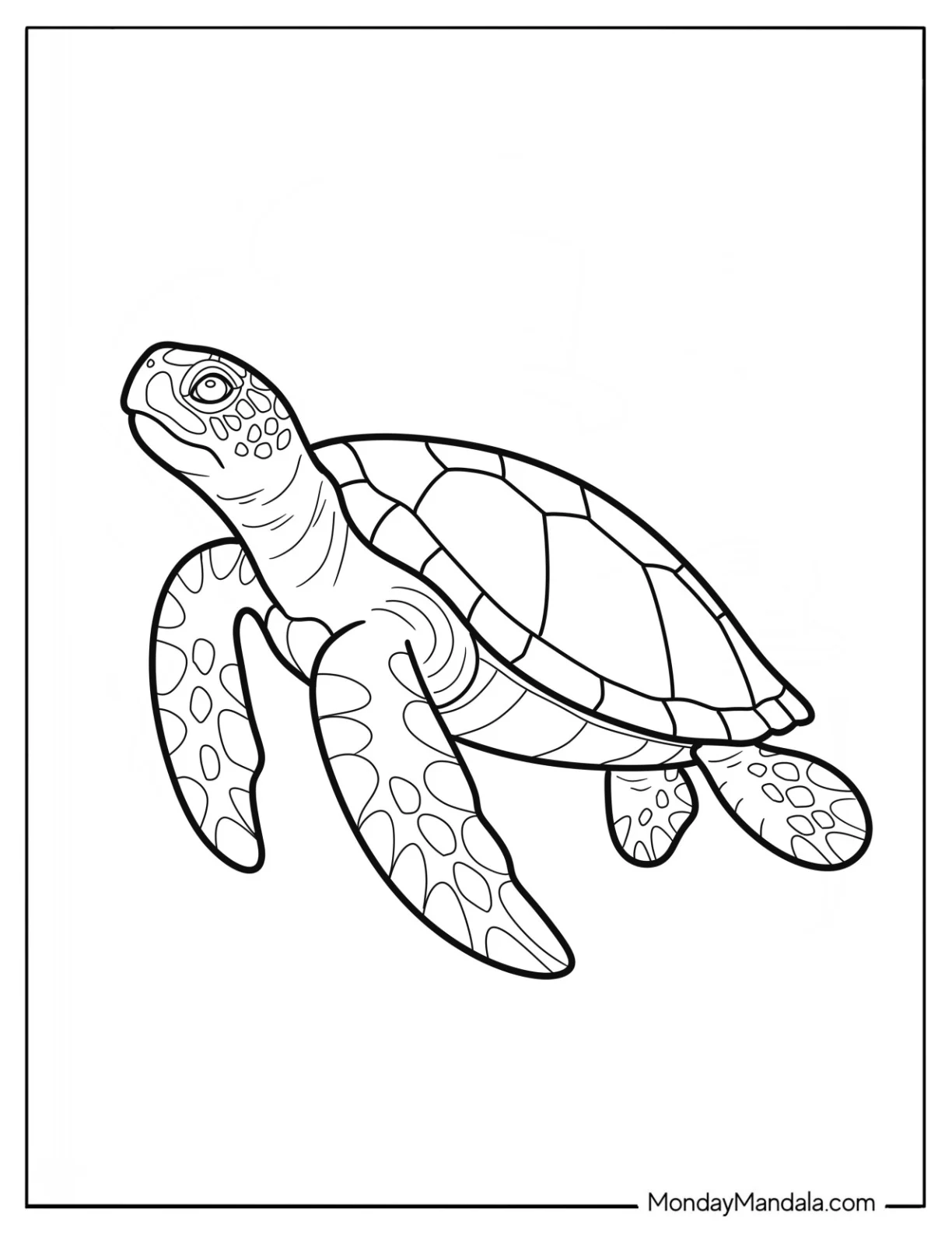 Realistic Turtle Coloring Page Swimming coloring page — printable line art