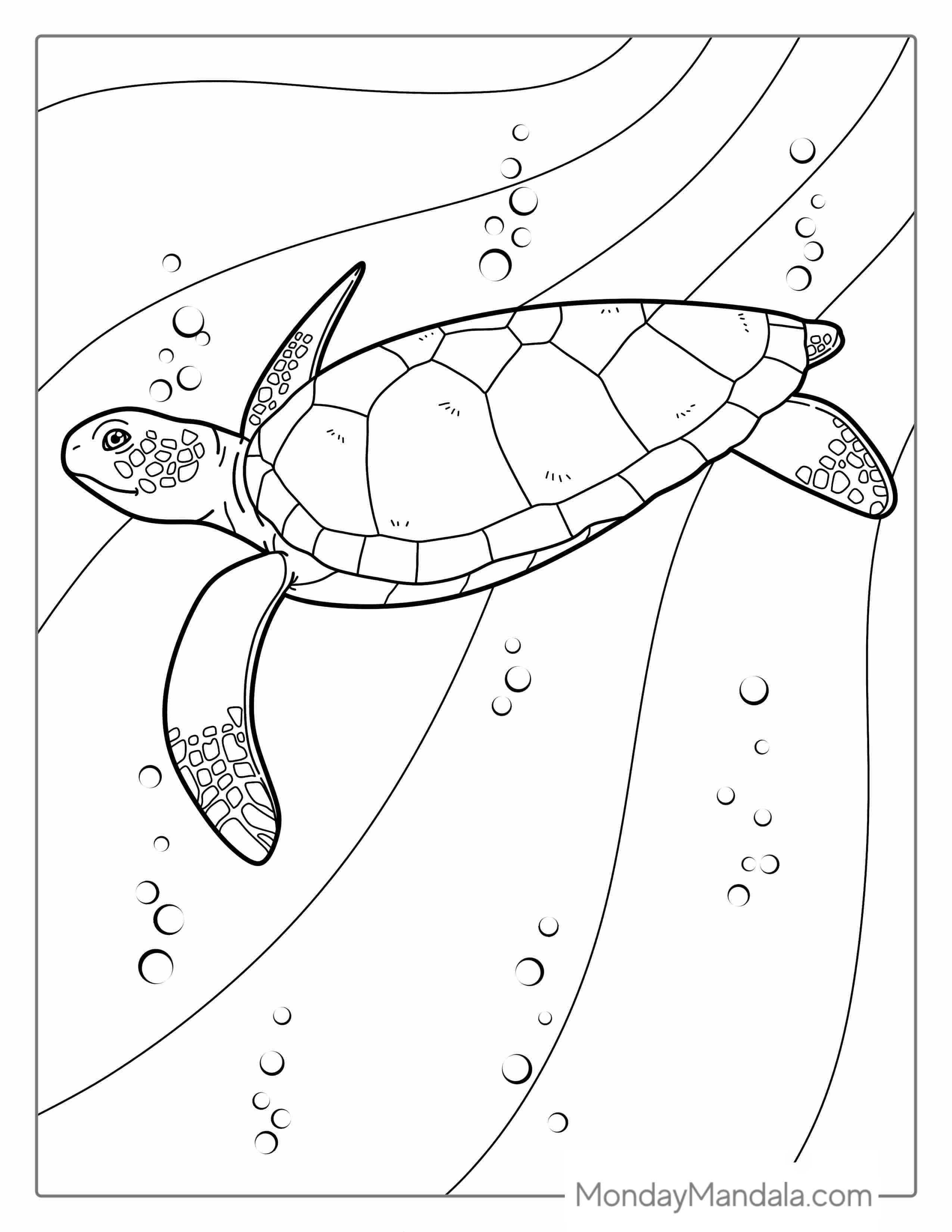 Sea Turtle Coloring Page For Kids coloring page