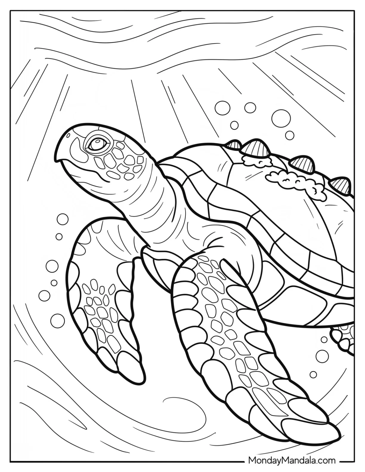Sea Turtle Coloring Page Surrounded by Bubbles in the Water coloring page — printable line art