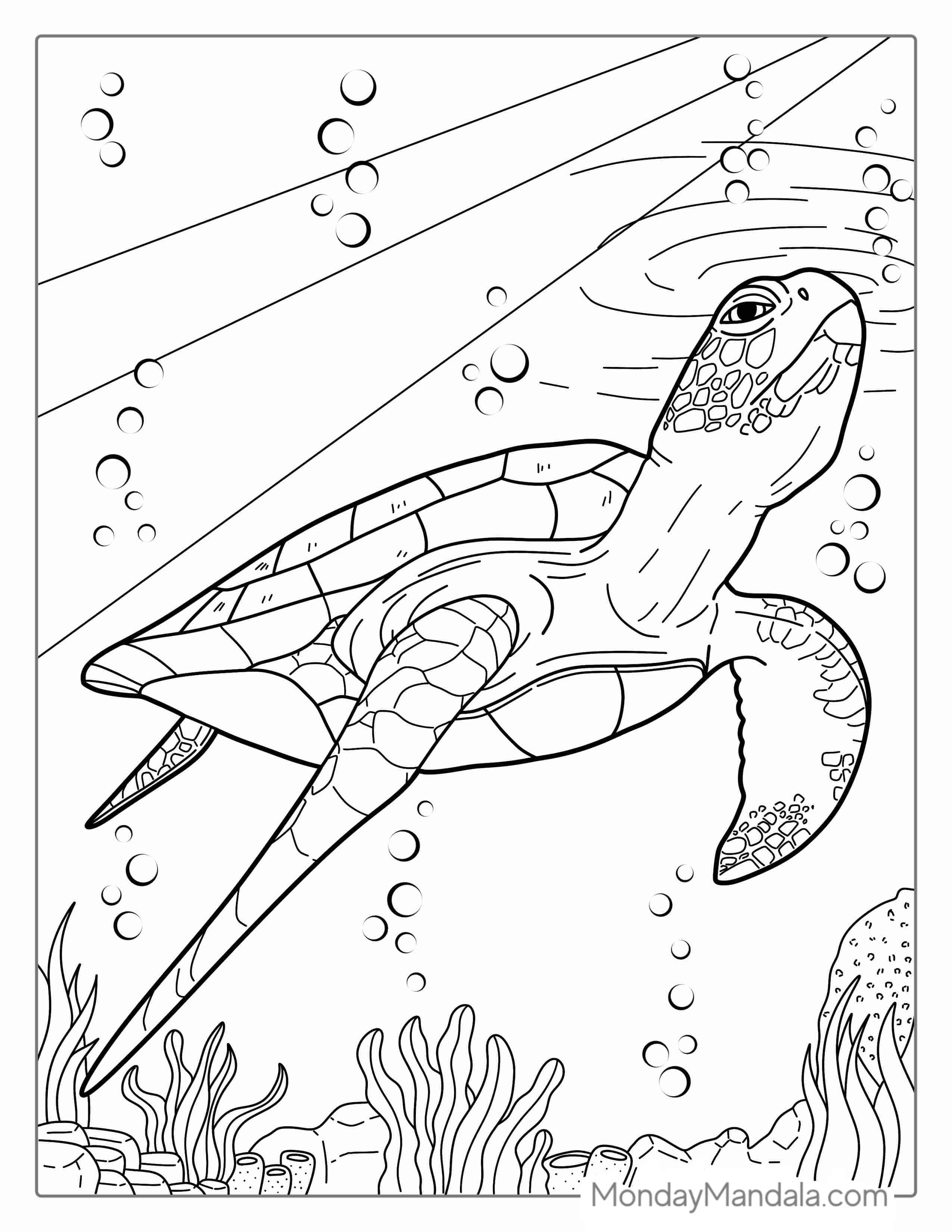 Sea Turtle Poking Head Through Water coloring page