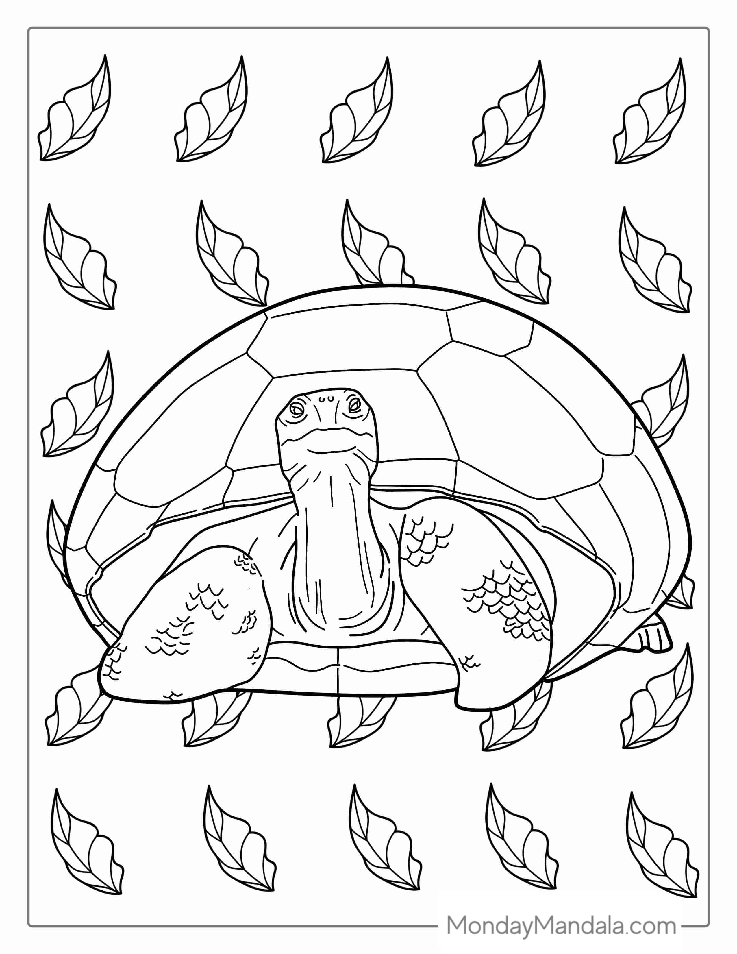 Simple Tortoise Coloring Page coloring page — printable line art