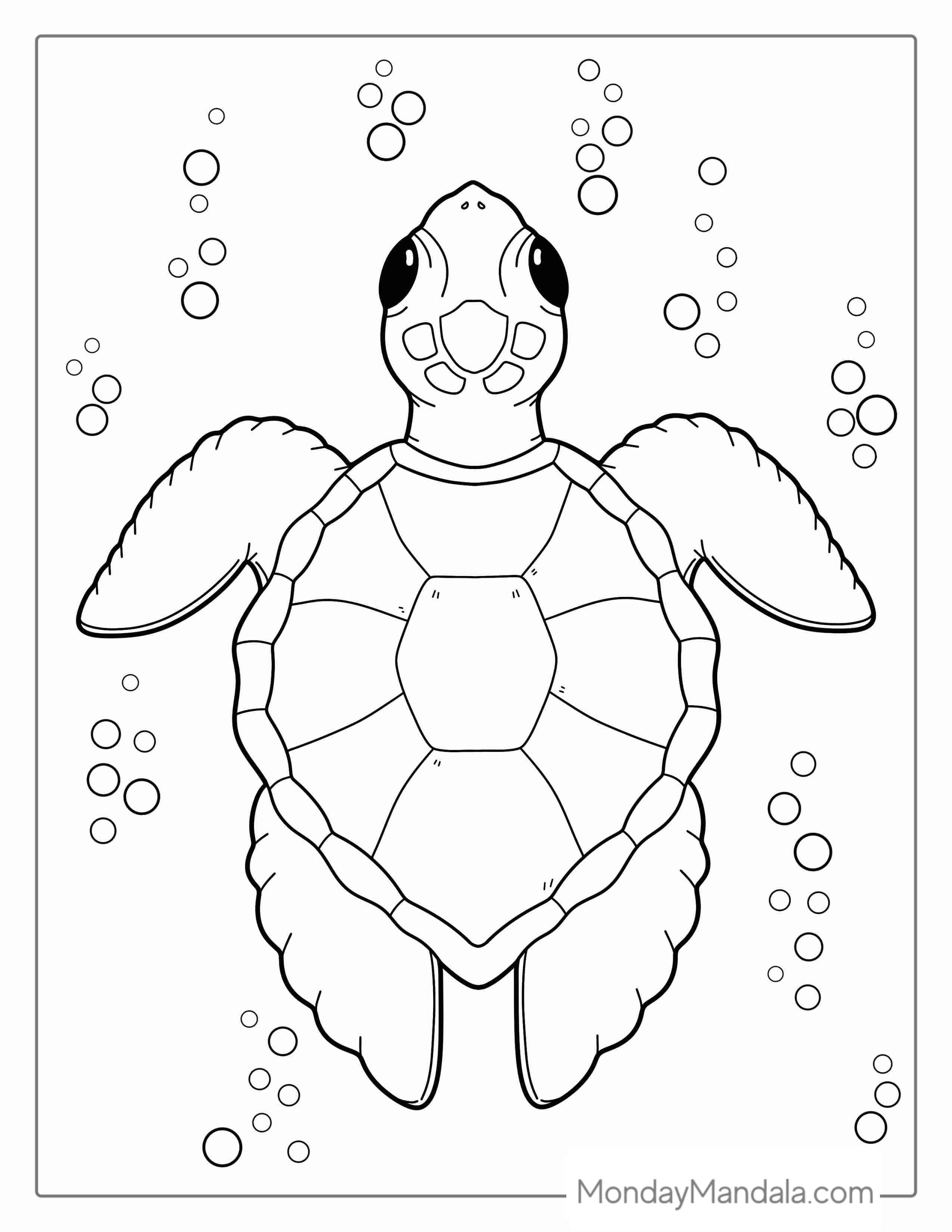 Top Down View Of Turtle Shell To Color coloring page