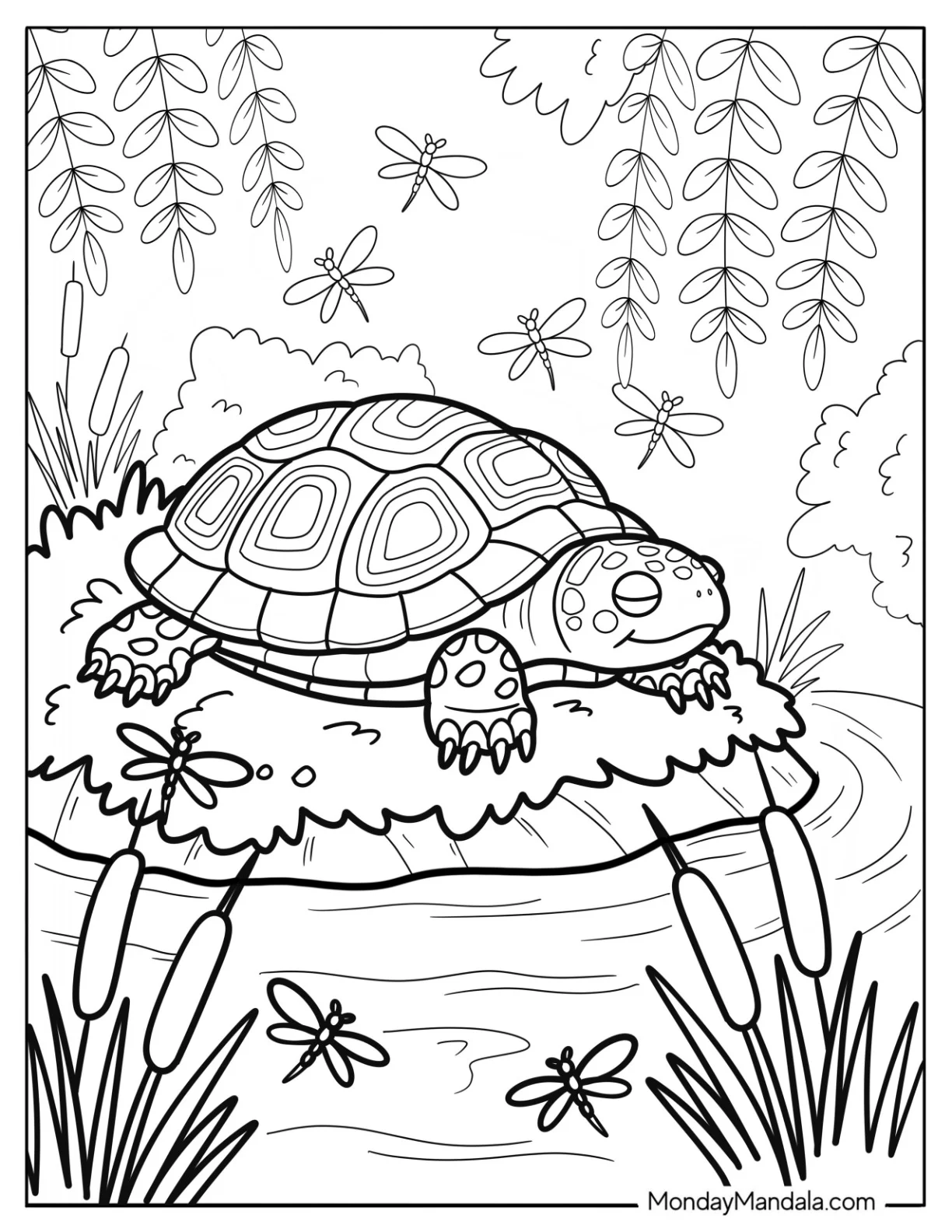 Turtle Coloring Page Resting Next to a Stream coloring page