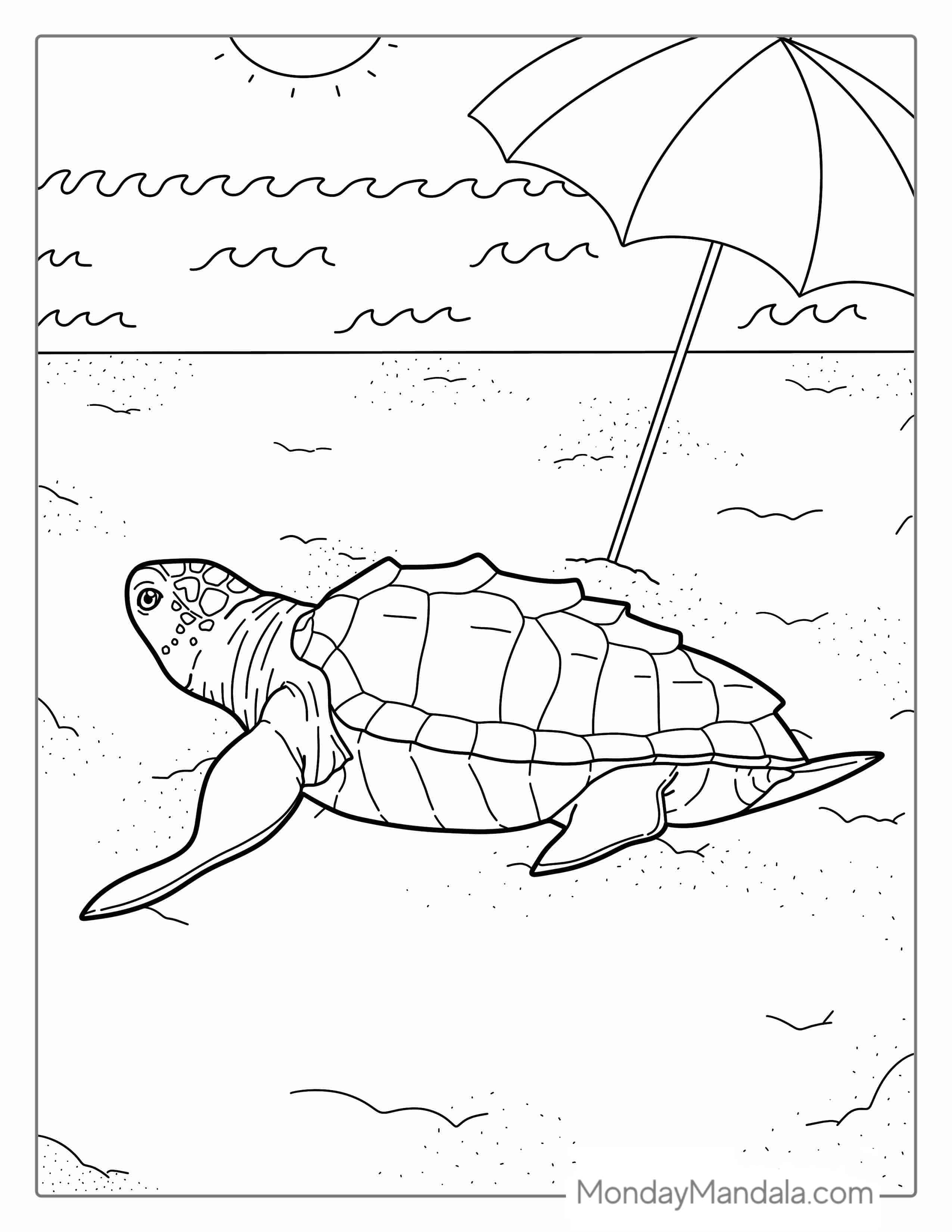 Turtle Sun Baking On Beach Coloring Sheet coloring page
