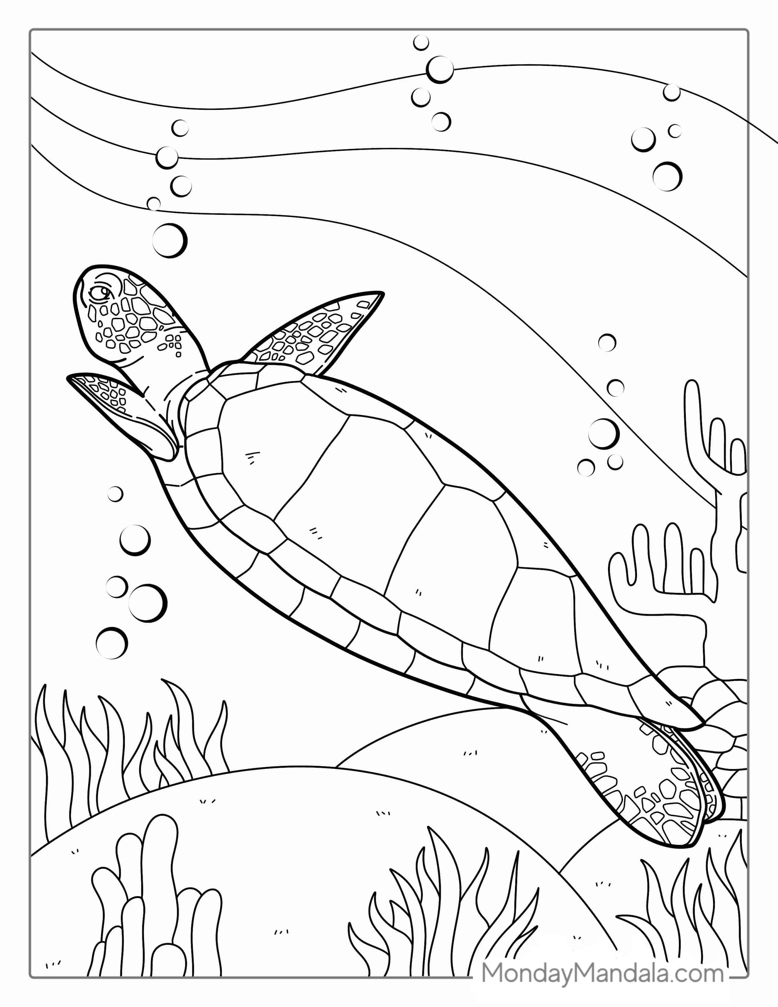 Turtle Swimming In Pacific Coloring Sheet coloring page — printable line art