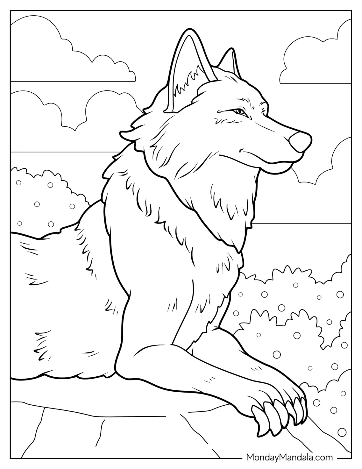 Realistic Adult Wolf Coloring Page Resting coloring page