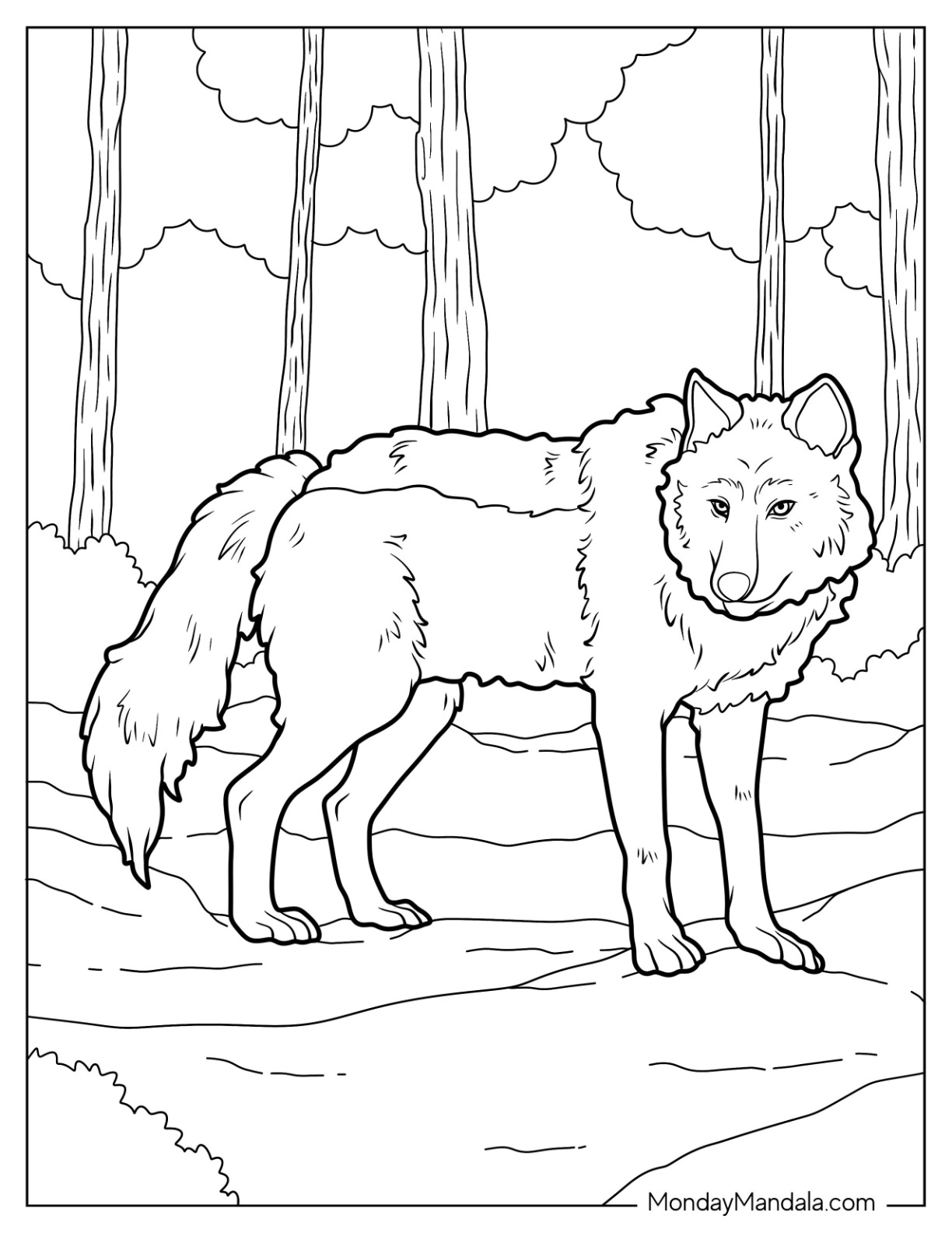 Wolf Coloring Page With Detailed Fur Standing In The Forest coloring page — printable line art