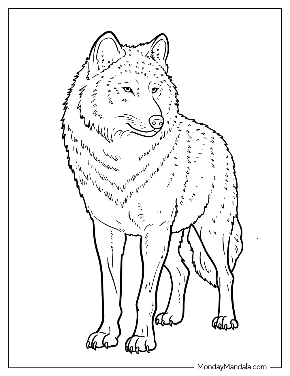 Wolf Coloring Page with Thick Fur and Calm Expression coloring page — printable line art
