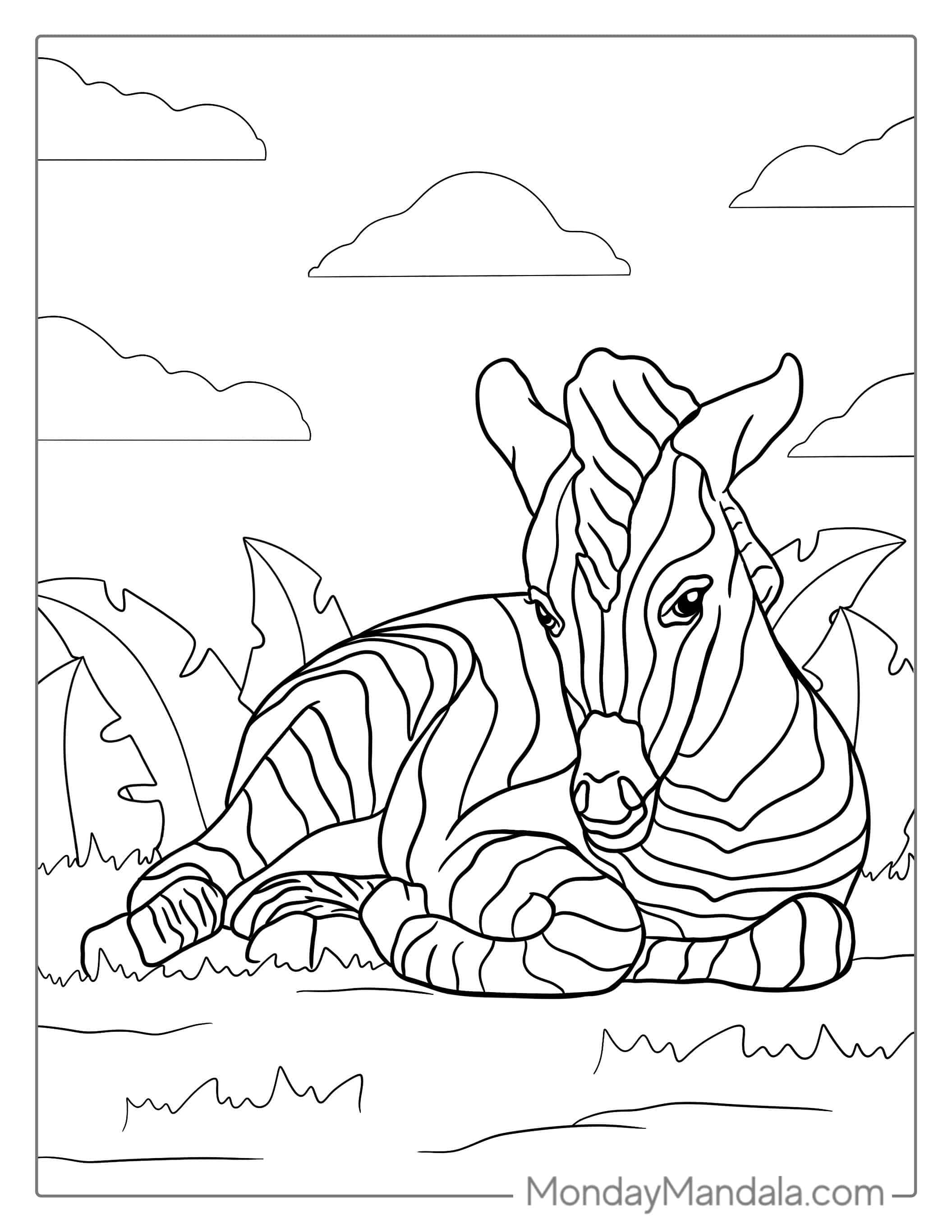 Cute Baby Zebra Resting coloring page