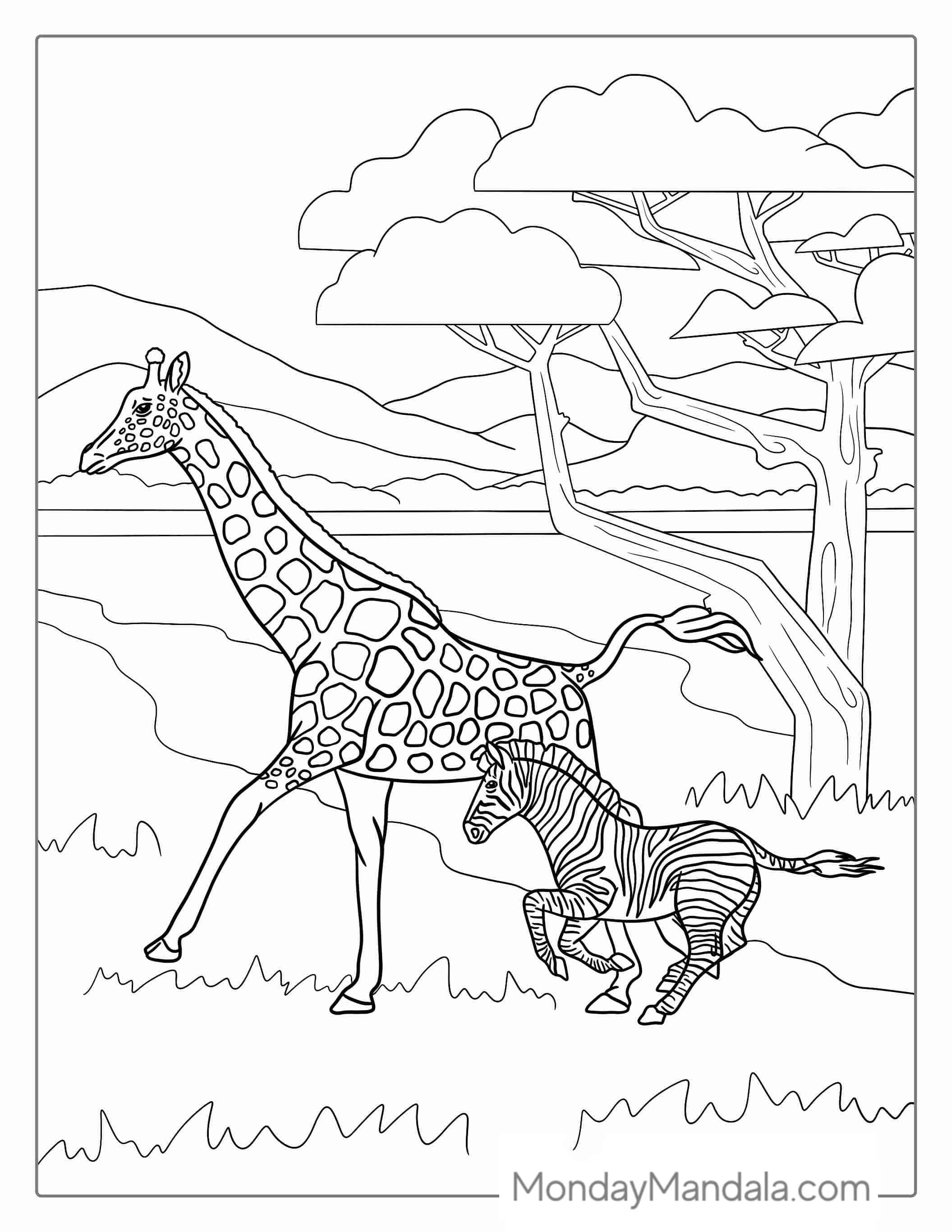 Giraffe And Zebra Coloring Page coloring page — printable line art