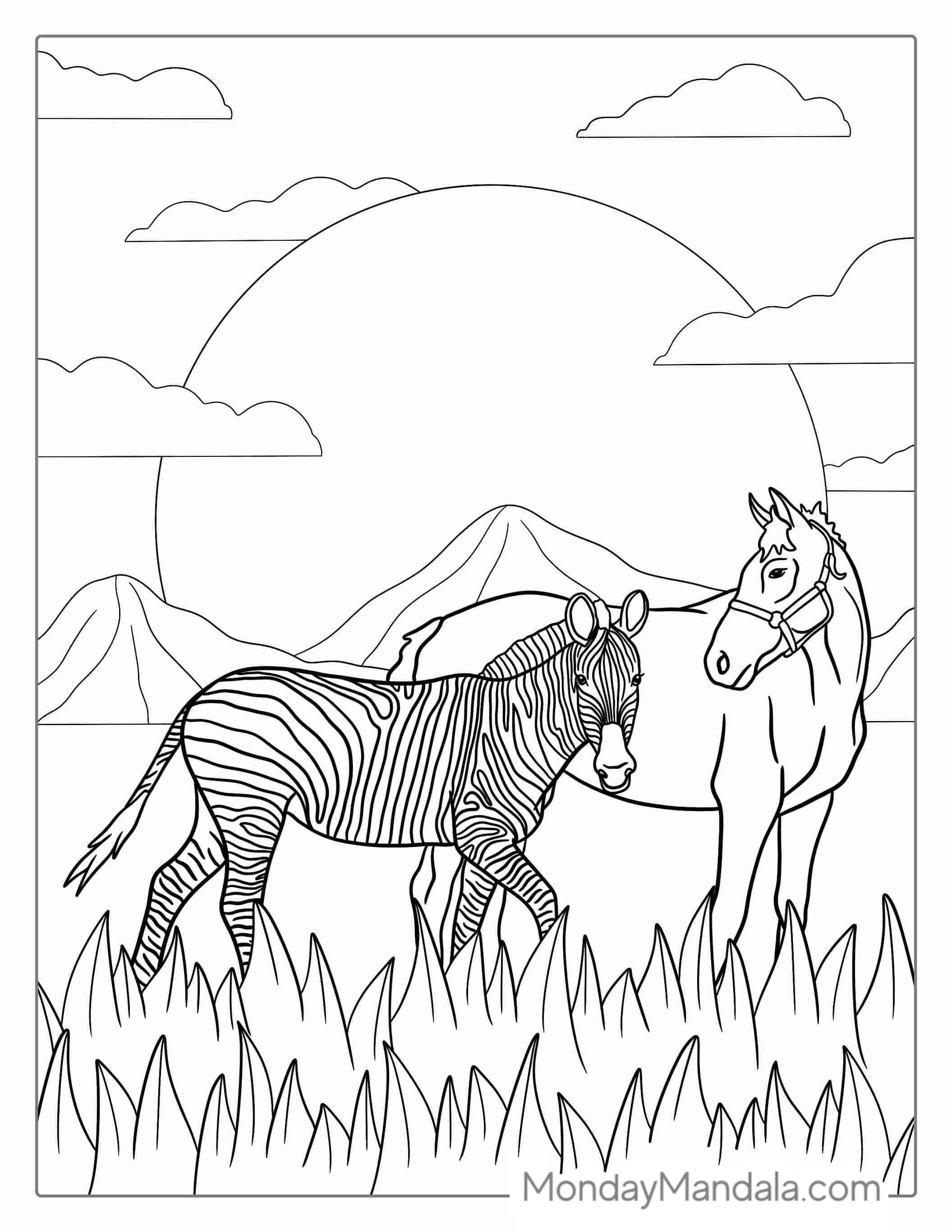 Horse Vs Zebra Coloring Page For Teachers coloring page