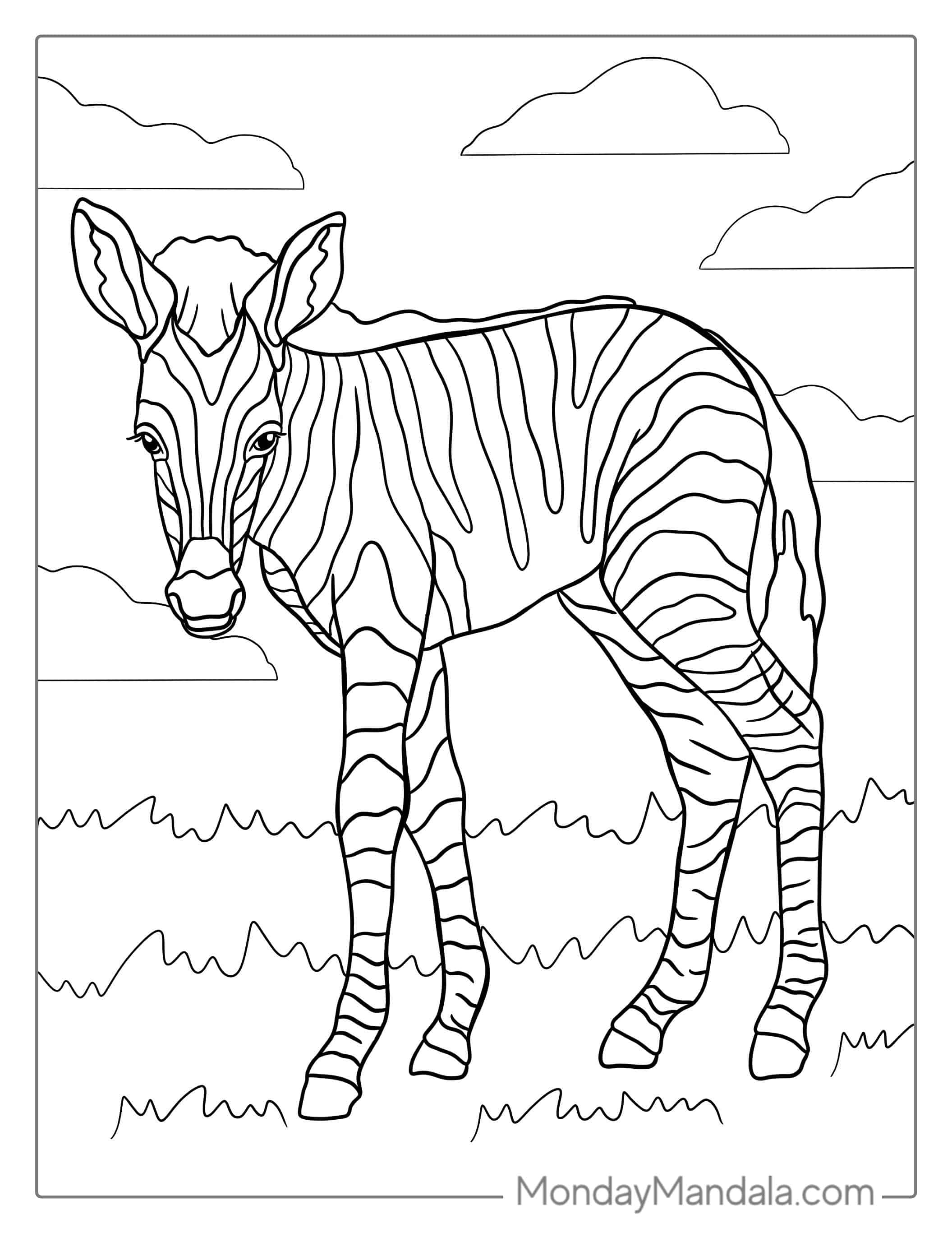 New Born Zebra With Stripes To Color coloring page — printable line art