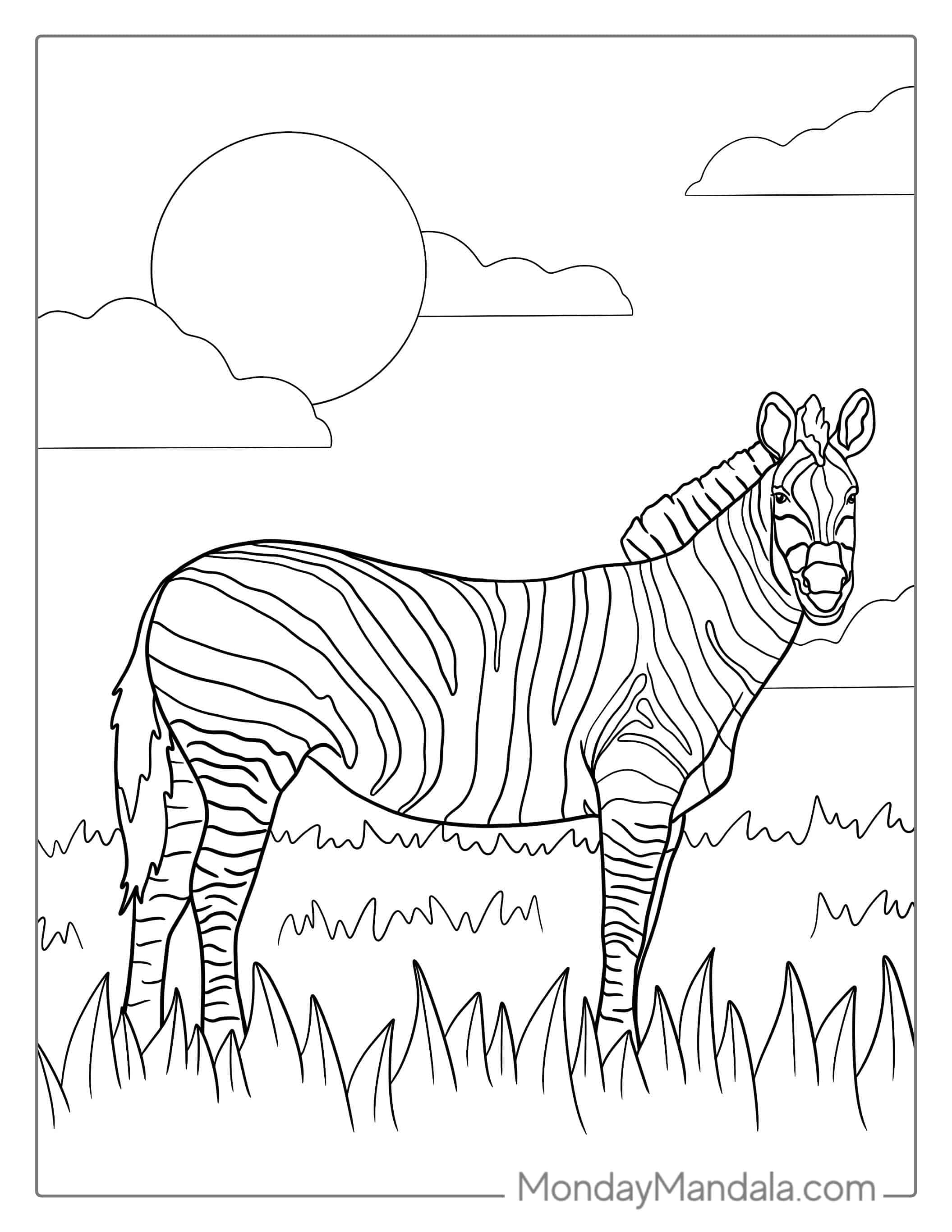 Realistic Zebra In Field Coloring Page coloring page — printable line art