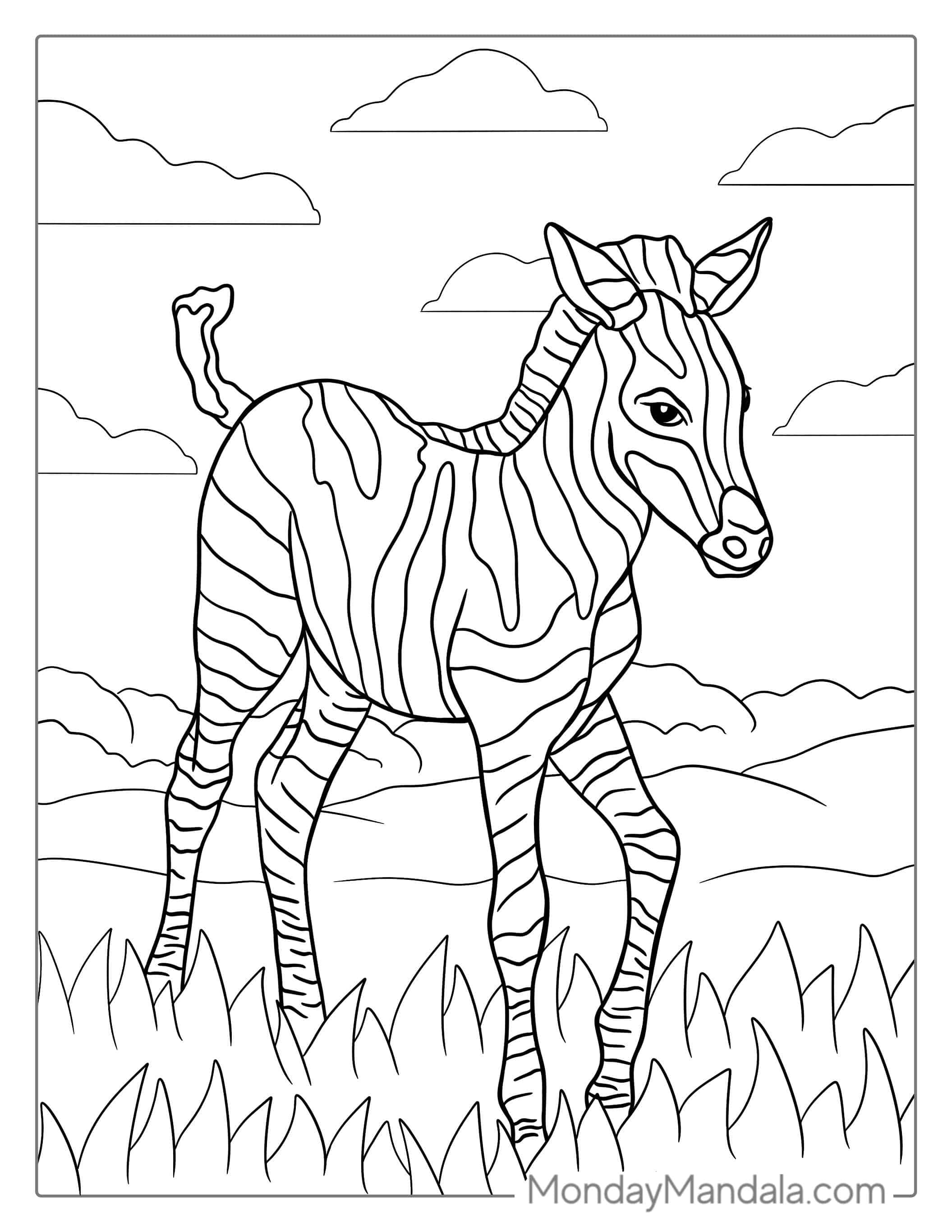 Striped Baby Zebra To Color For Kids coloring page