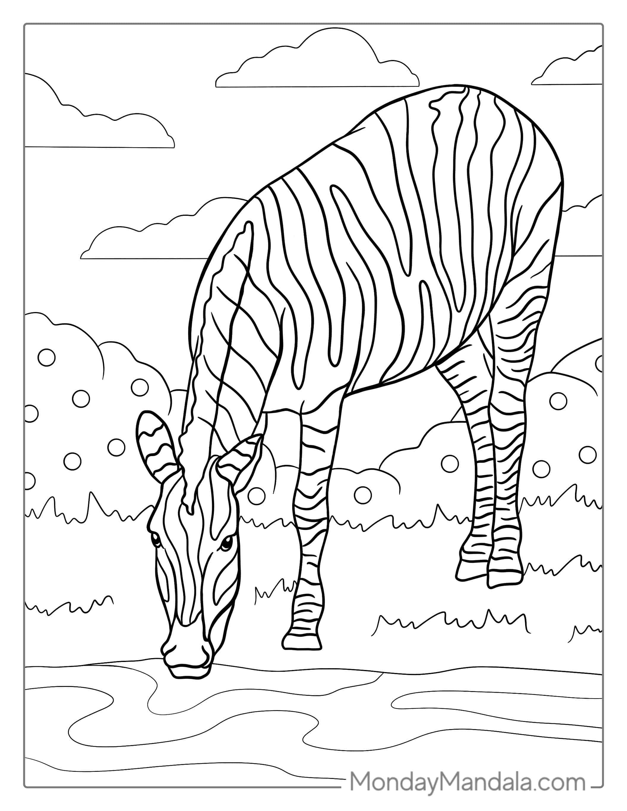 Zebra Drinking Water From Water Hole coloring page — printable line art