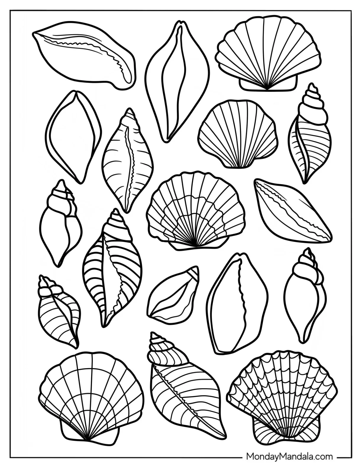 Summer Coloring Page Of Full Page Realistic Seashells coloring page
