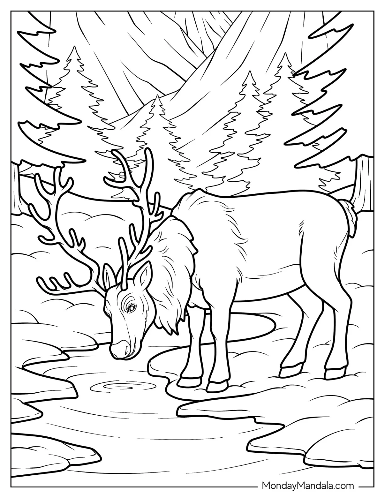 Realistic Reindeer Drinking Water from a Stream coloring page