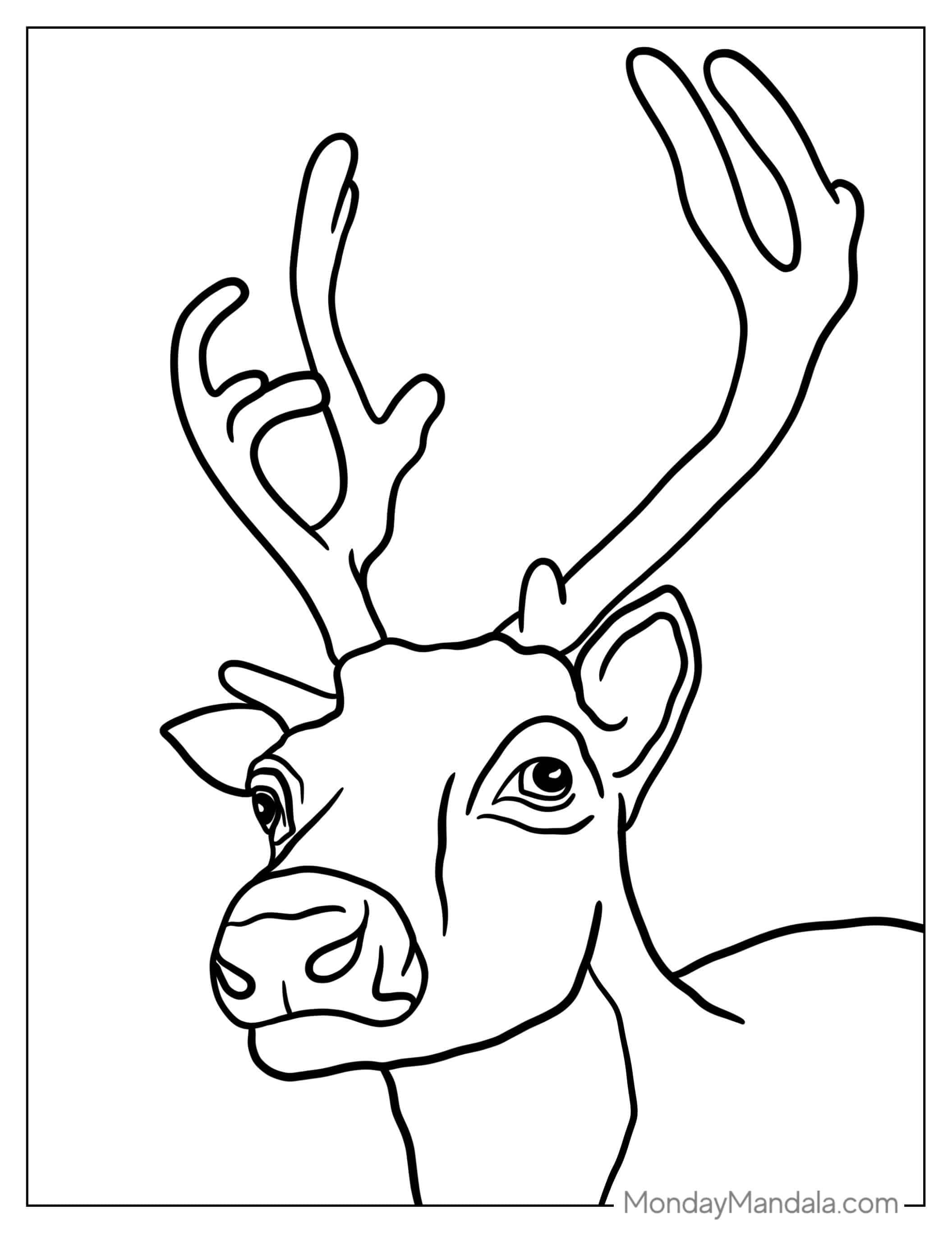 Simple Outline Of Reindeer Head coloring page — printable line art