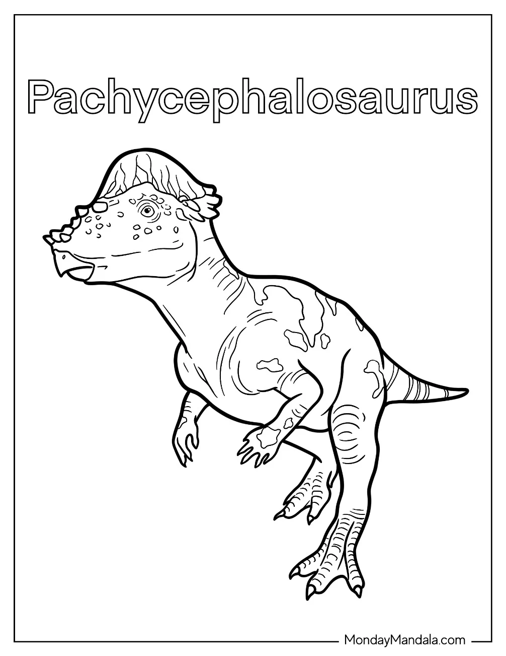Intricate Pachycephalosaurus Coloring Page coloring page