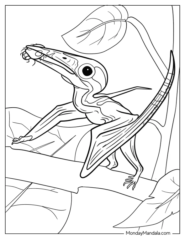 Baby Pterodactyl Coloring Page Eating Bug coloring page — printable line art