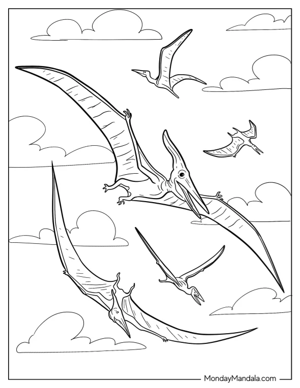 Four Adult Pterodactyl Coloring Page In The Sky coloring page — printable line art