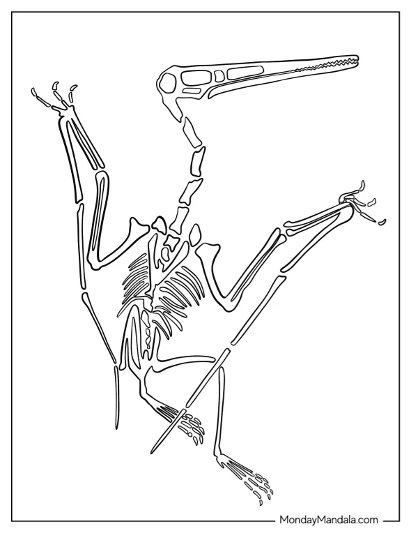 Pterodactyl Coloring Page Fossil coloring page