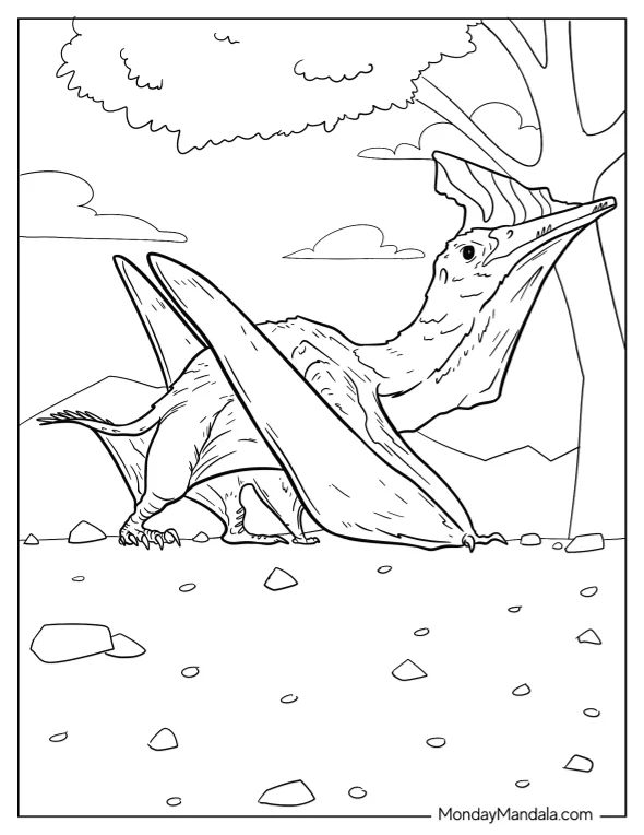 Pterodactyl Coloring Page Resting Beside Tree coloring page