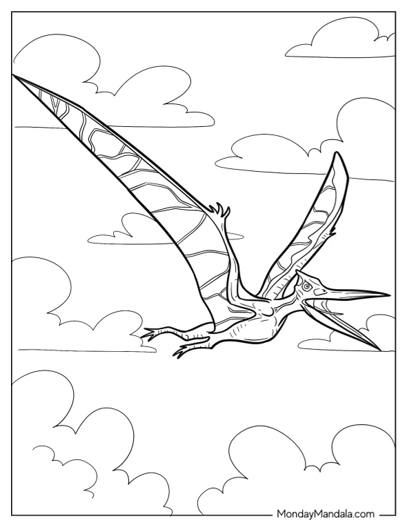 Pterodactyl Coloring Page With Sharp Beak coloring page