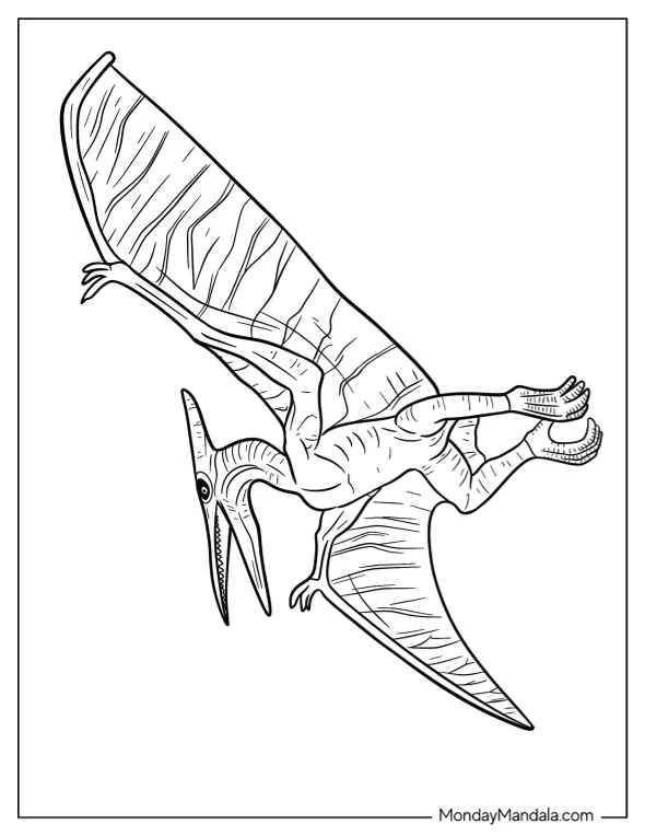 Pterodactyl Coloring Page With Textured Skin And Detailed Wings coloring page