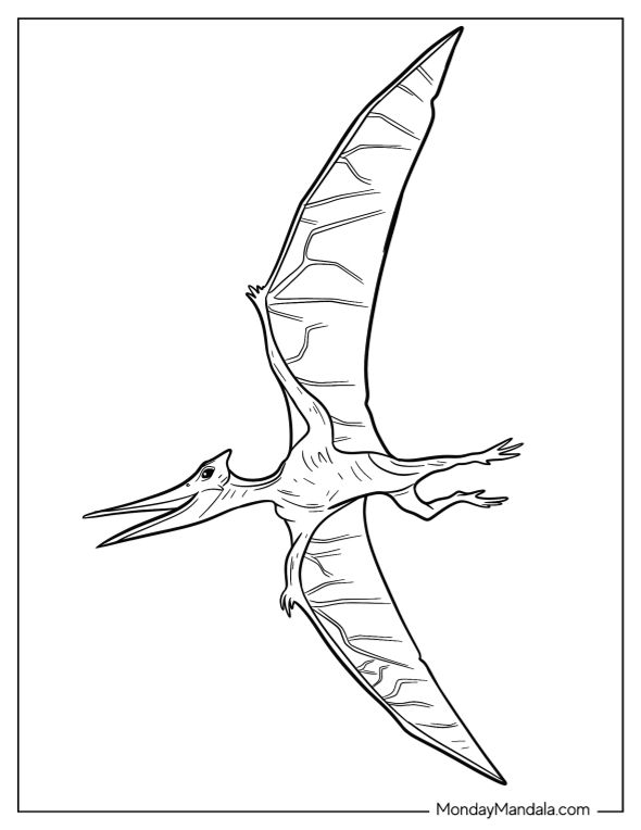 Simple Pterodactyl Coloring Page For Kids coloring page