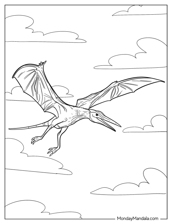 Small Pterodactyl Coloring Page Flying In The Sky coloring page