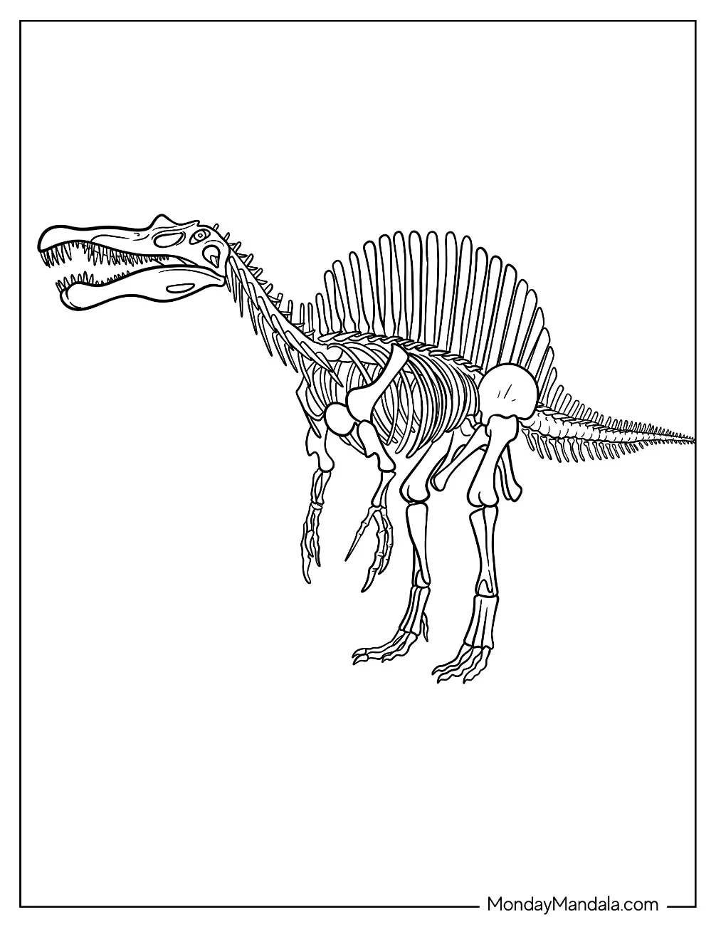 Spinosaurus Coloring Page Skeleton coloring page