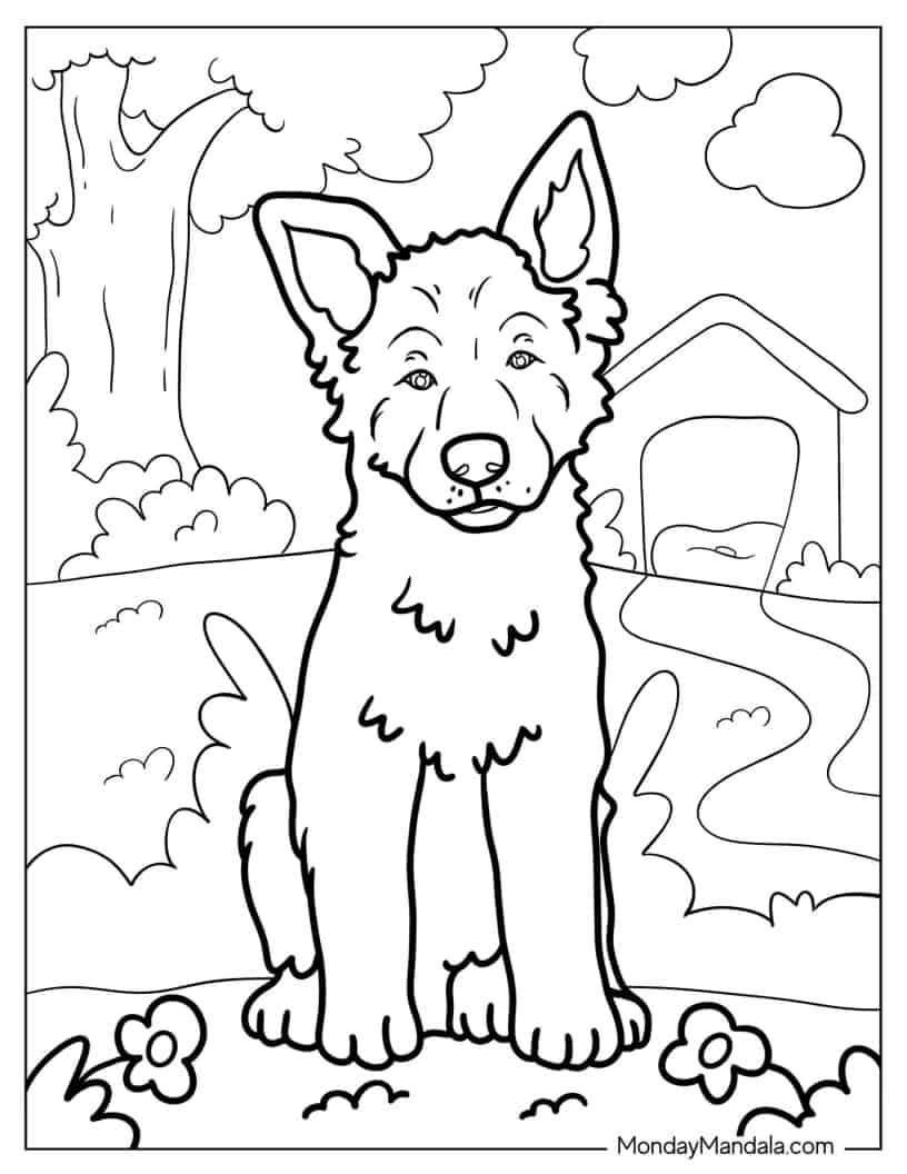 Belgian Malinois Puppy In Backyard coloring page — printable line art
