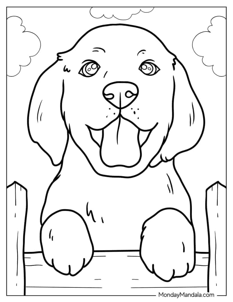 Close Up Of Labrador Puppy coloring page — printable line art
