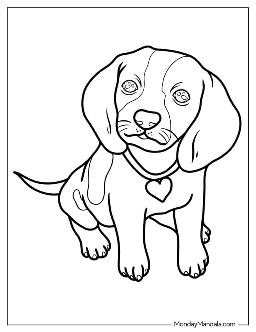 Coloring Page Of Realistic Beagle Puppy With Collar coloring page — printable line art