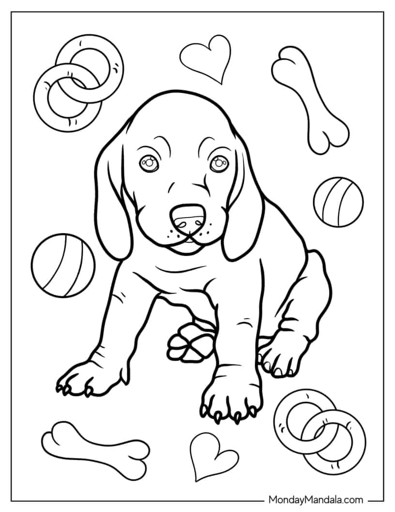 Dachshund Puppy Coloring Page coloring page — printable line art