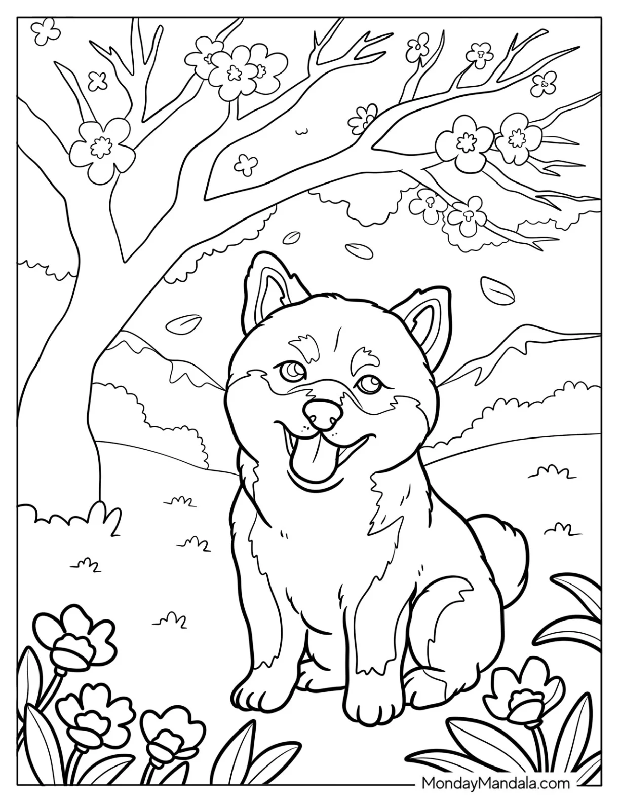 Detailed Shiba Inu Puppy Under Cherry Blossom Tree Coloring Sheet coloring page