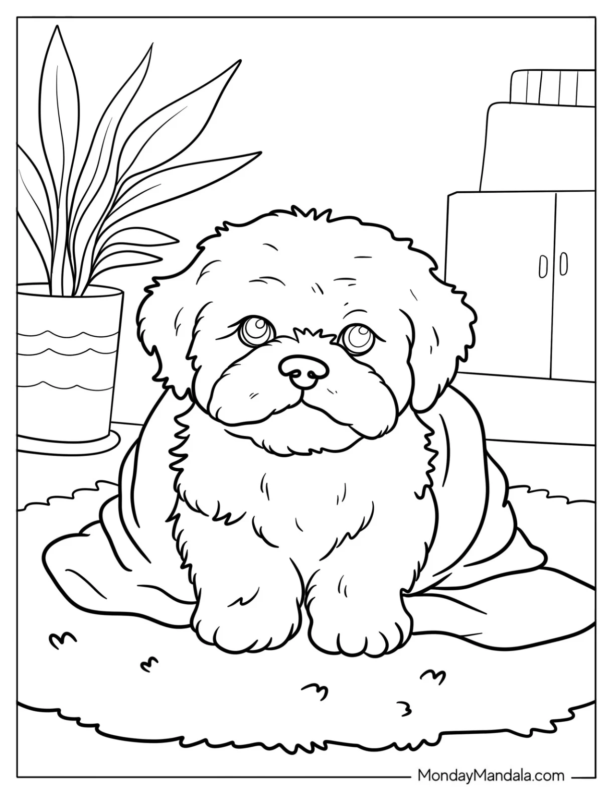 Fluffy Shih Tzu Puppy Wrapped in a Blanket Coloring Sheet For Kids coloring page — printable line art