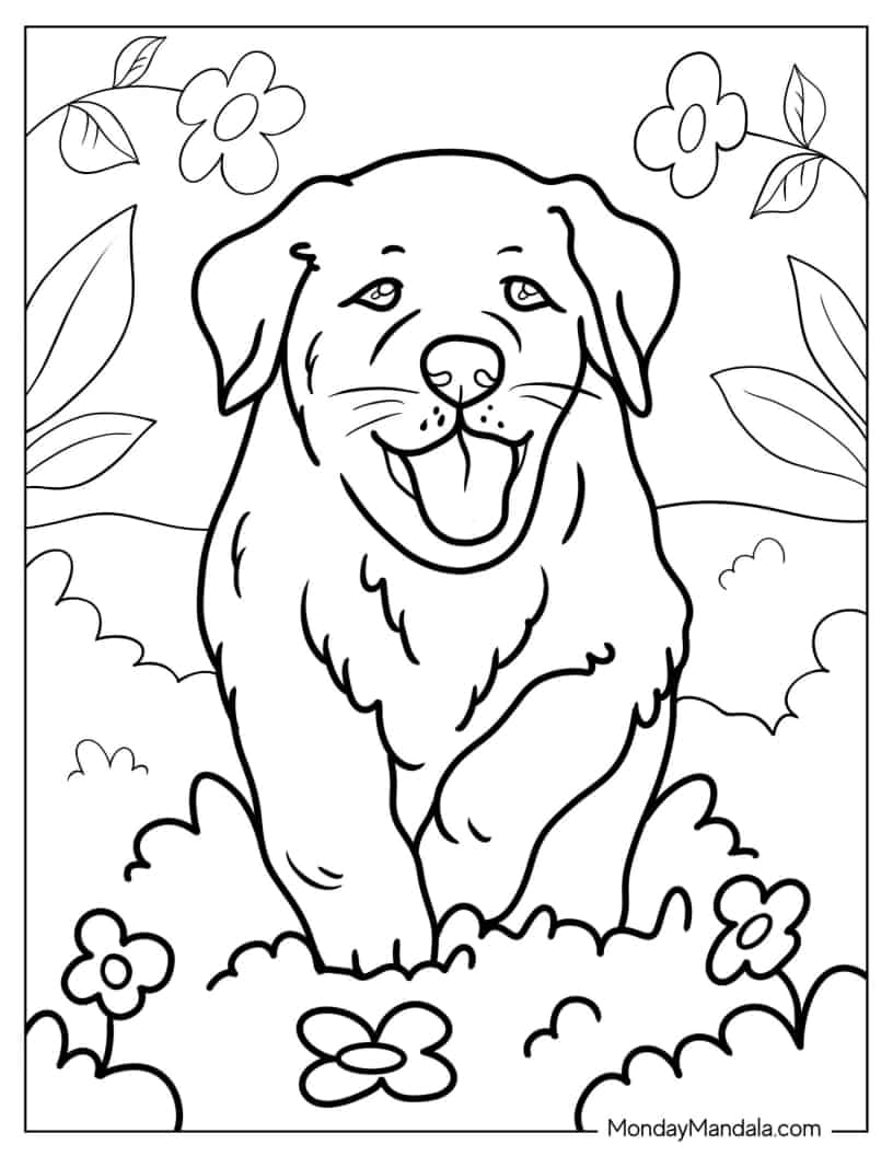 Labrador Puppy On Flower Bed Coloring Sheet coloring page