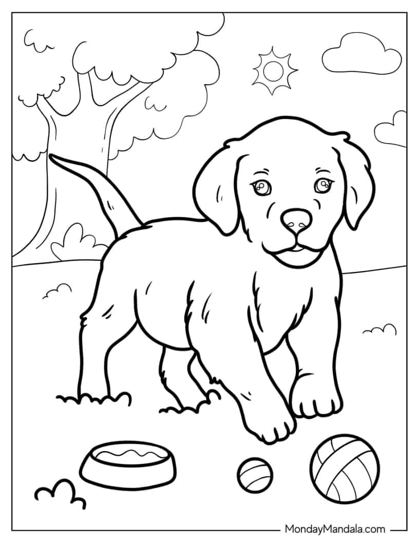 Realistic Labrador Puppy Playing With Ball Coloring In coloring page